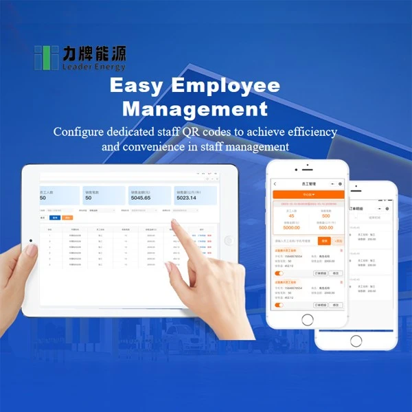 LD gas station management system (4)