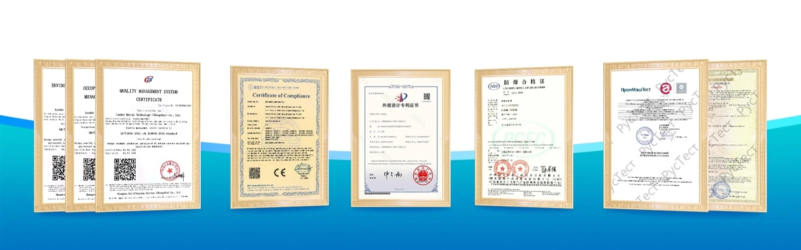 Leader Energy Certificate Leader Energy Certificate